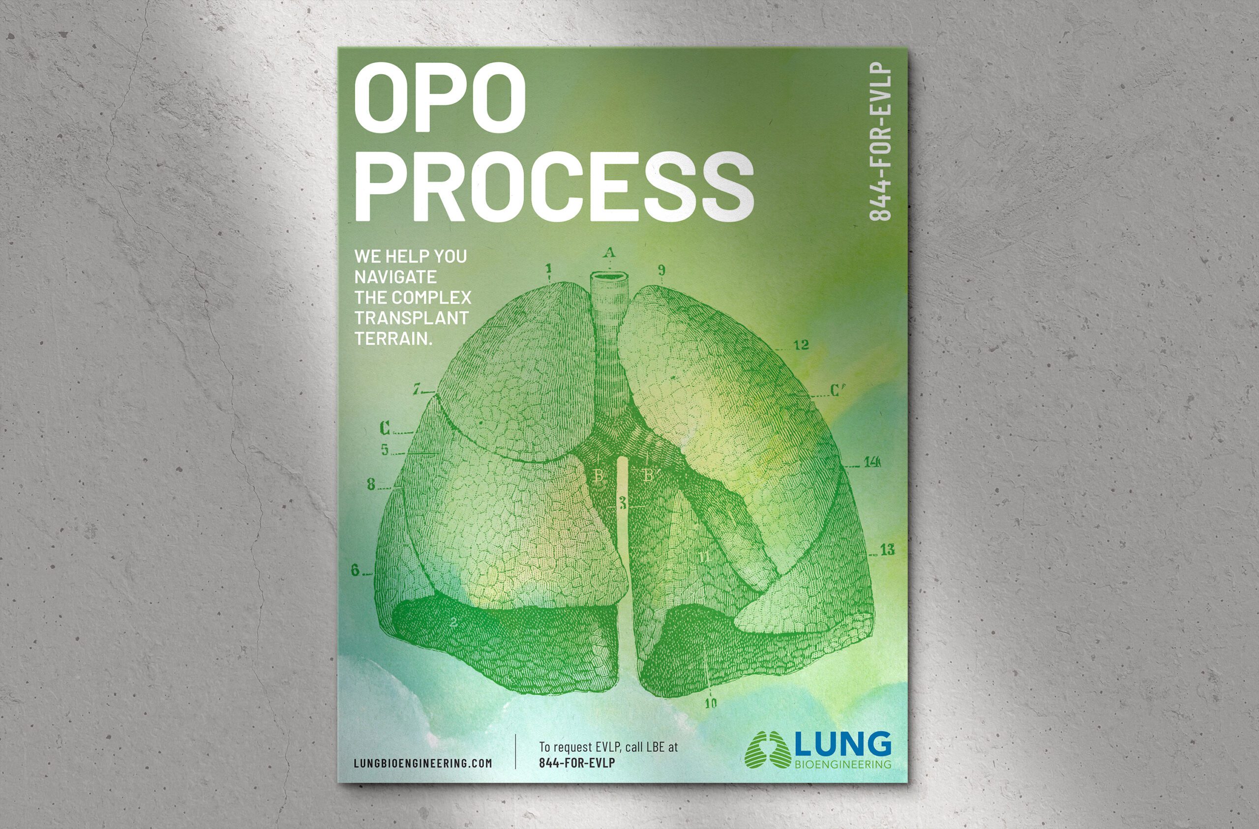 A magazine cover with an illustration of the lungs.