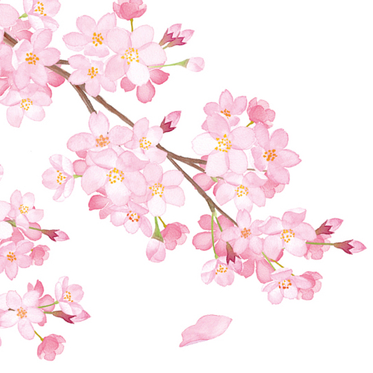 Sumitomo Pharma Med Affairs Women's Health